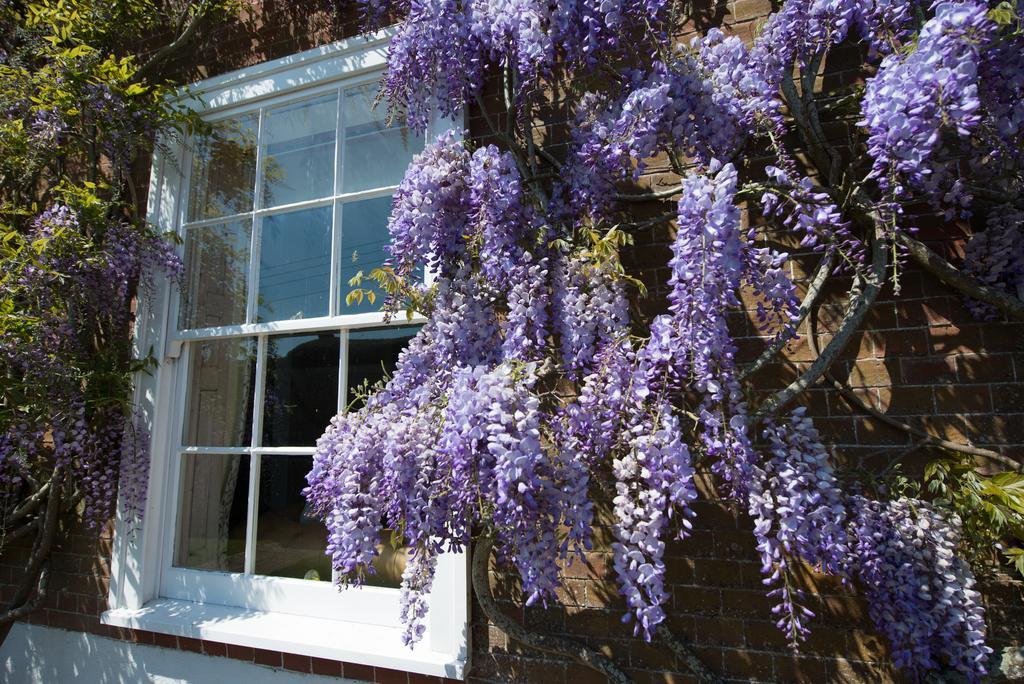 Boreham House Couette-café 5*